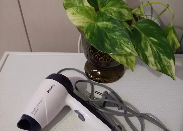 Apartment Papiniidu Studio Apartments